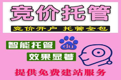 百度竞价代理的广告创意制作与执行案例